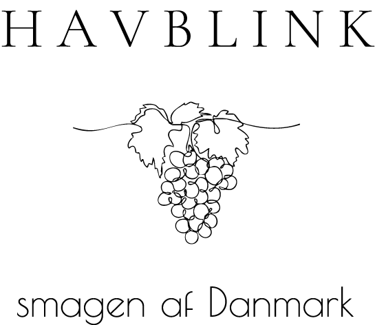 Havblink logo